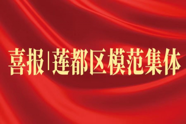 喜報丨浙江中立建設榮獲蓮都區(qū)“模范集體”稱號！